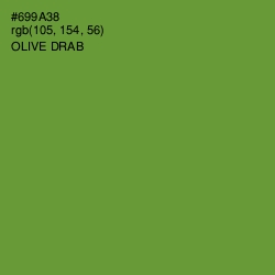 #699A38 - Olive Drab Color Image